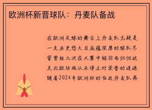 欧洲杯新晋球队：丹麦队备战