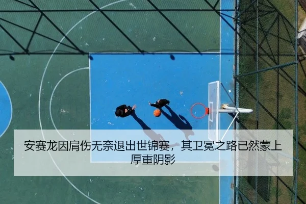 安赛龙因肩伤无奈退出世锦赛，其卫冕之路已然蒙上厚重阴影